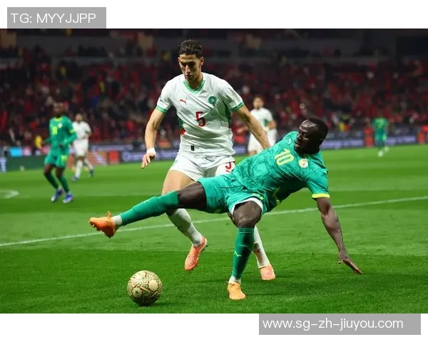 非洲足球锦标赛精彩回顾与未来展望球迷热情高涨的盛会